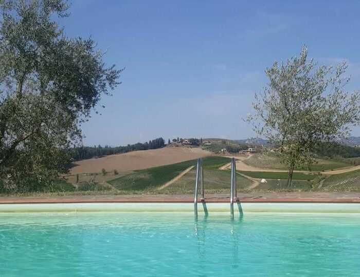 21078687_1548527531836024_5404753323101516193_n