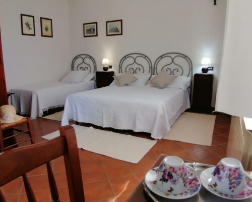 WhatsApp Image 2025-01-07 at 17.11.02 (7)