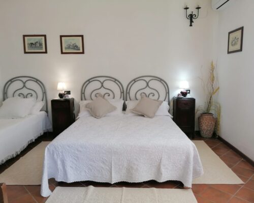 WhatsApp Image 2025-01-07 at 17.11.03